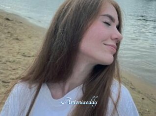 Antoniaeddy