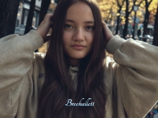 Breehallett