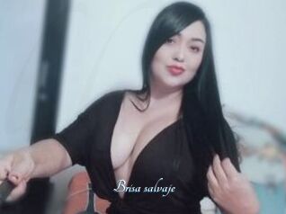 Brisa_salvaje