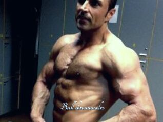 Bull_dosemuscles