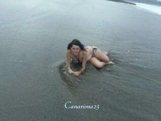 Canariona23