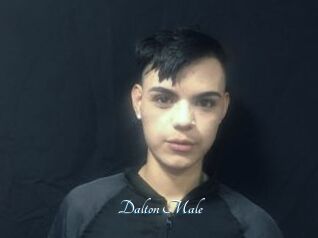 Dalton_Male