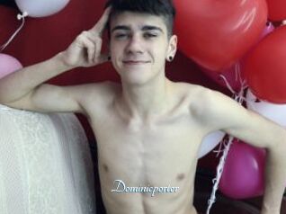 Dominicporter