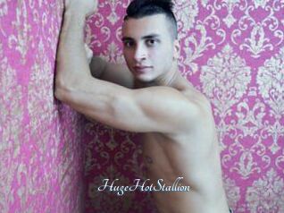 HugeHotStallion