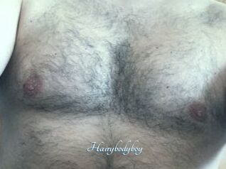 Hairybodyboy