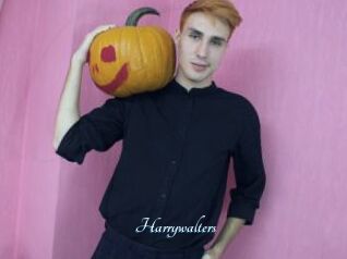 Harrywalters