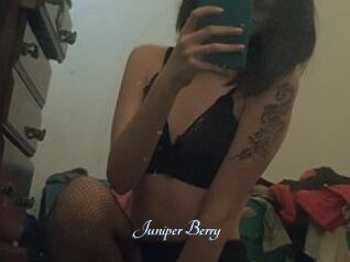 Juniper_Berry