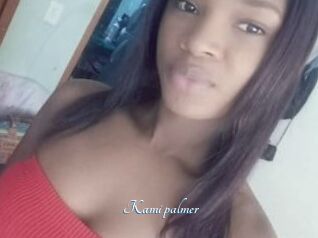 Kami_palmer