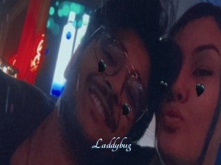 Laddybug