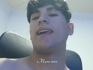 Mario_neta