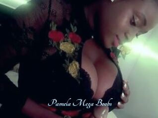 Pamela_Mega_Boobs