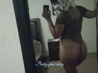 Pretty_phat_kitty