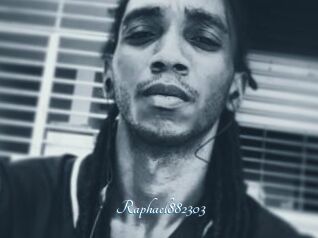 Raphael882303