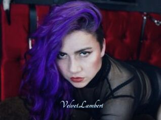 VelvetLambert