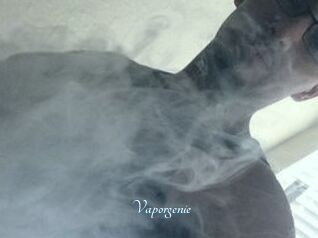 Vapor_genie